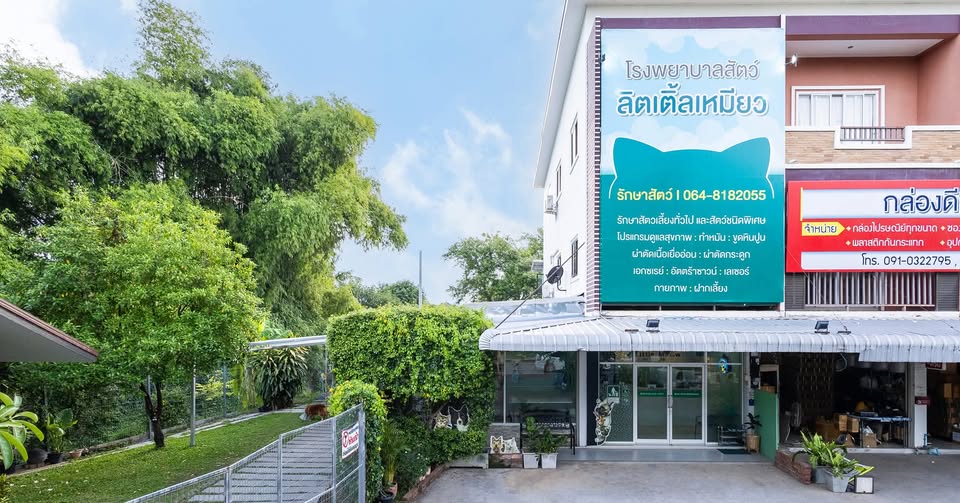 สุนัขขาหัก ผ่าตัดกระดูกสัตว์ พิษณุโลก ด้วยแผ่นไทเทเนียม — รักษาสัตว์ พิษณุโลก เคสจริง