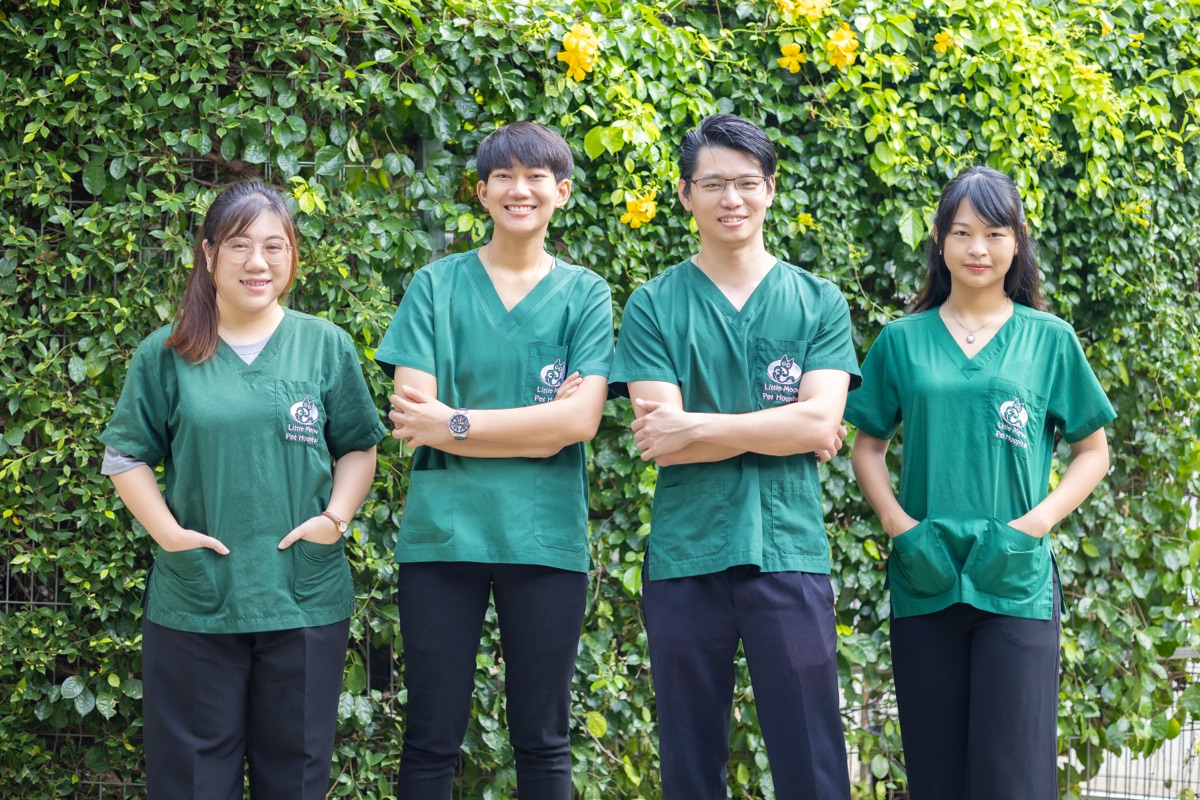 เคาน์เตอร์ต้อนรับโรงพยาบาลสัตว์ลิตเติ้ลเหมียว