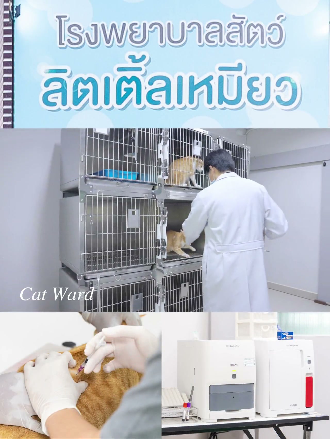 ตรวจแลป, ฝากแอดมิด