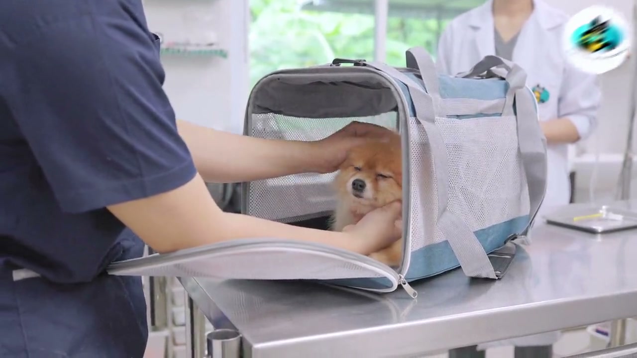 ตรวจรักษาทางอายุรกรรม